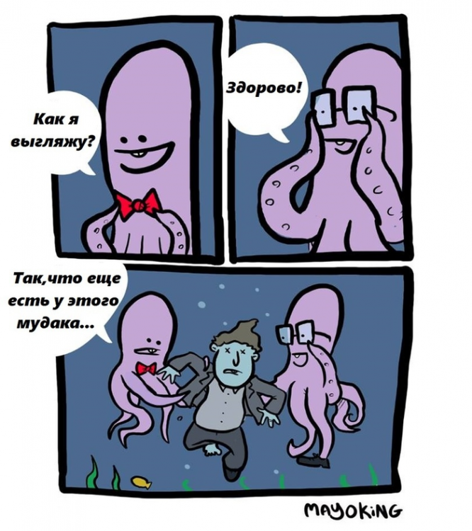 осьминоги.png